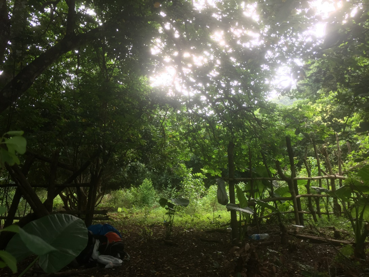 Trải nghiệm xuyên rừng quốc gia Cát Bà - 16