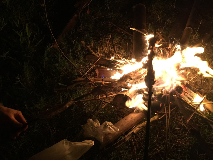 Trải nghiệm xuyên rừng quốc gia Cát Bà - 18