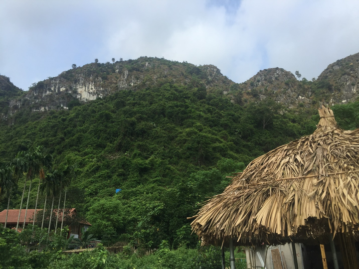 Trải nghiệm xuyên rừng quốc gia Cát Bà - 2