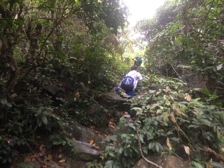 Trải nghiệm xuyên rừng quốc gia Cát Bà - 4