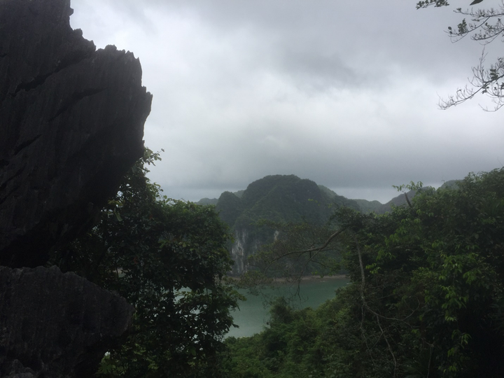 Trải nghiệm xuyên rừng quốc gia Cát Bà - 6