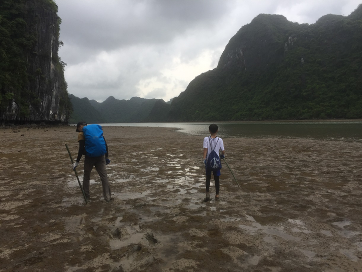 Trải nghiệm xuyên rừng quốc gia Cát Bà - 7