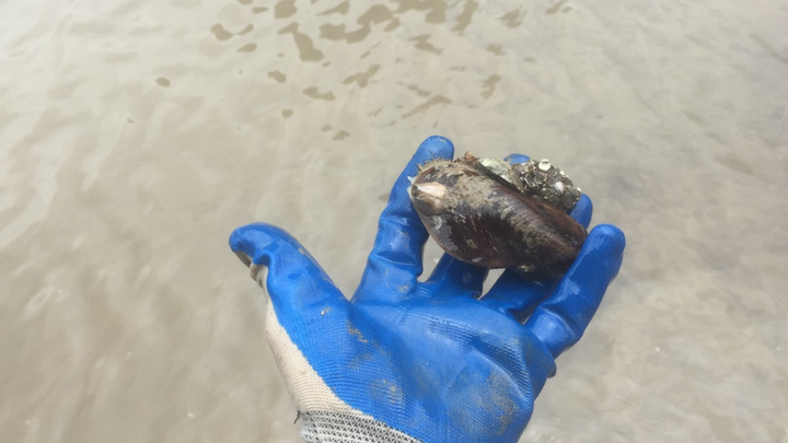 Trải nghiệm xuyên rừng quốc gia Cát Bà - 8