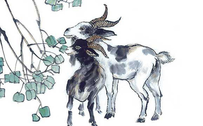 Tử vi 12 con giáp ngày 11/8: Tuổi Mùi có khả năng 'thoát ế' - 2