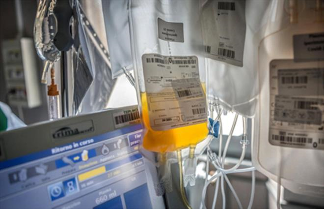 Người phụ nữ Mỹ vượt ngàn cây số từ TP.HCM ra Hà Nội hiến huyết tương cứu người - 3