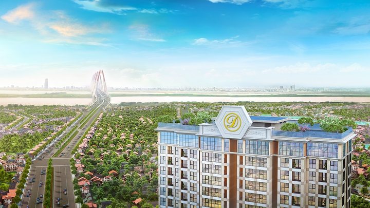 D'. El Dorado: Lựa chọn thể hiện vị thế của gia chủ - 2