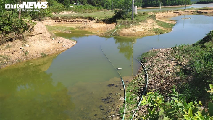 Dân phản đối trại lợn xả thải gây ô nhiễm, tỉnh Nghệ An họp khẩn - 2