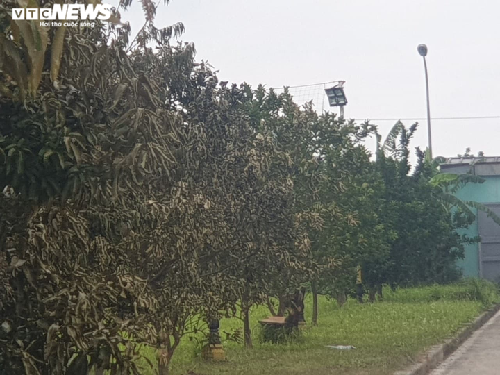 Hiện trường tan hoang sau đám cháy kho chứa sơn trong khu công nghiệp ở Bắc Ninh - 2