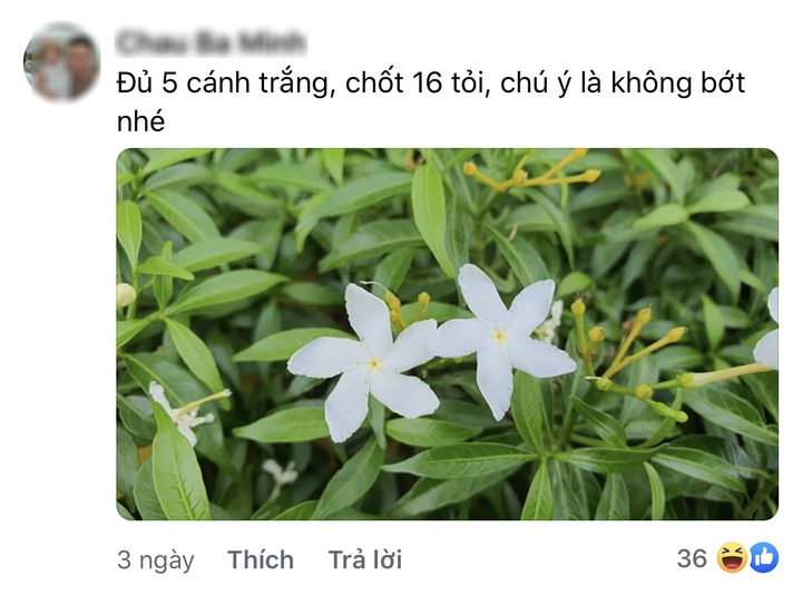 Dân mạng đua nhau 'chế' ảnh giao dịch lan đột biến tiền tỷ - 7