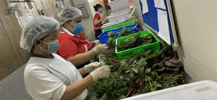 Chuyện chưa kể về những người dựng Bệnh viện dã chiến Tiên Sơn - 5