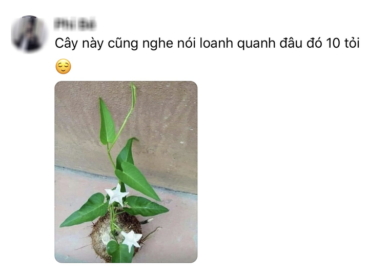 Dân mạng đua nhau 'chế' ảnh giao dịch lan đột biến tiền tỷ - 5