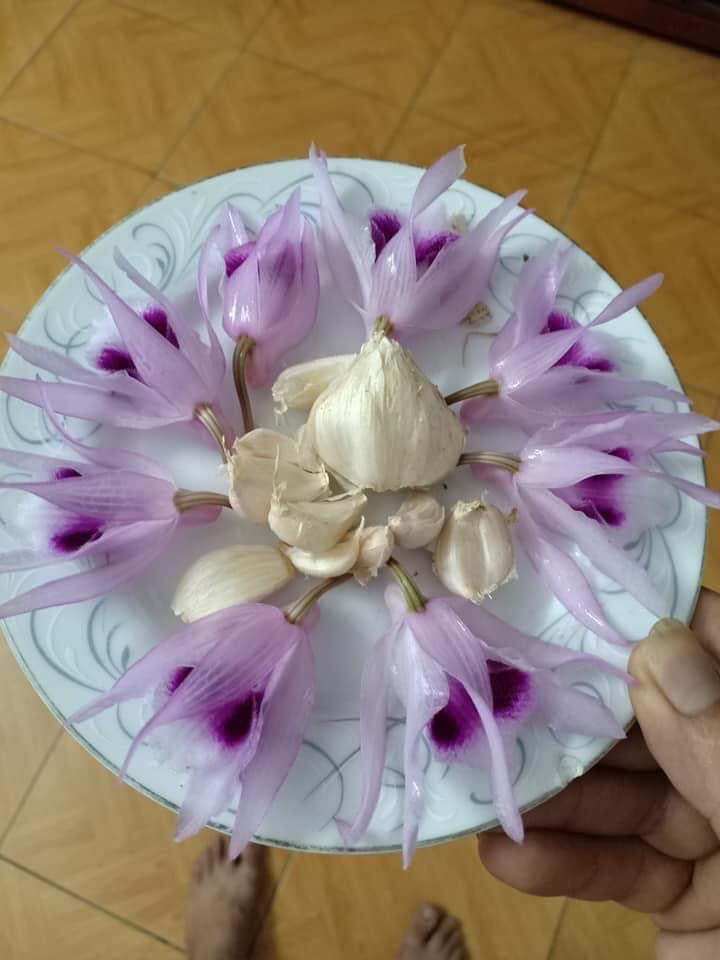 Dân mạng đua nhau 'chế' ảnh giao dịch lan đột biến tiền tỷ - 1