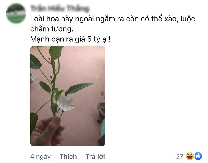 Dân mạng đua nhau 'chế' ảnh giao dịch lan đột biến tiền tỷ - 9