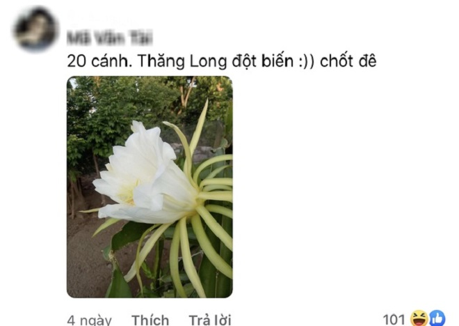 Dân mạng đua nhau 'chế' ảnh giao dịch lan đột biến tiền tỷ - 8