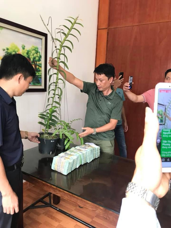 Giới chơi lan chia rẽ sau lùm xùm 'chiêu trò thổi giá' lan đột biến tiền tỷ - 2