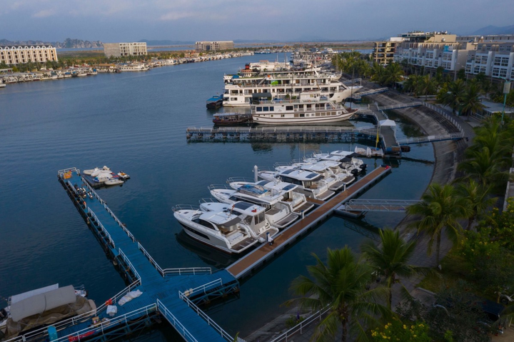 Khách sạn, nhà hàng, bến tàu Quảng Ninh đìu hiu, buồn thảm vì COVID-19 - 1