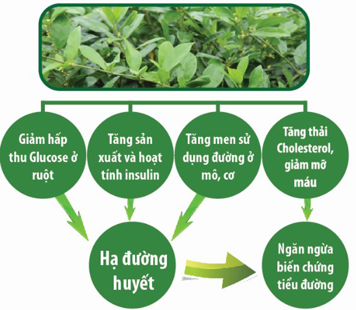 Người bị bệnh tiểu đường 'ngồi trên đống lửa' giữa đại dịch COVID-19 - 3