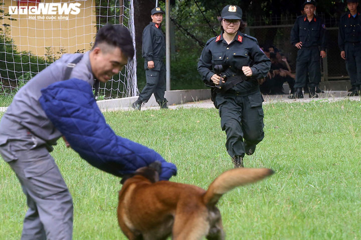 Chuyện về nữ cảnh sát duy nhất ở Việt Nam huấn luyện chó nghiệp vụ - 2
