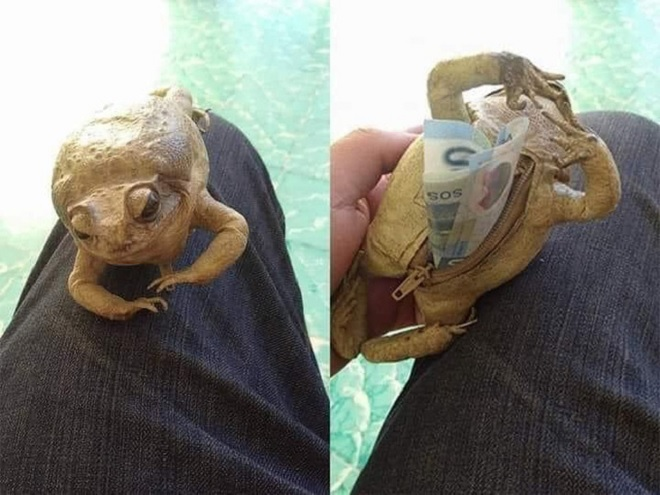 Chết cười với cách giấu quỹ đen bá đạo của các ông chồng - 1