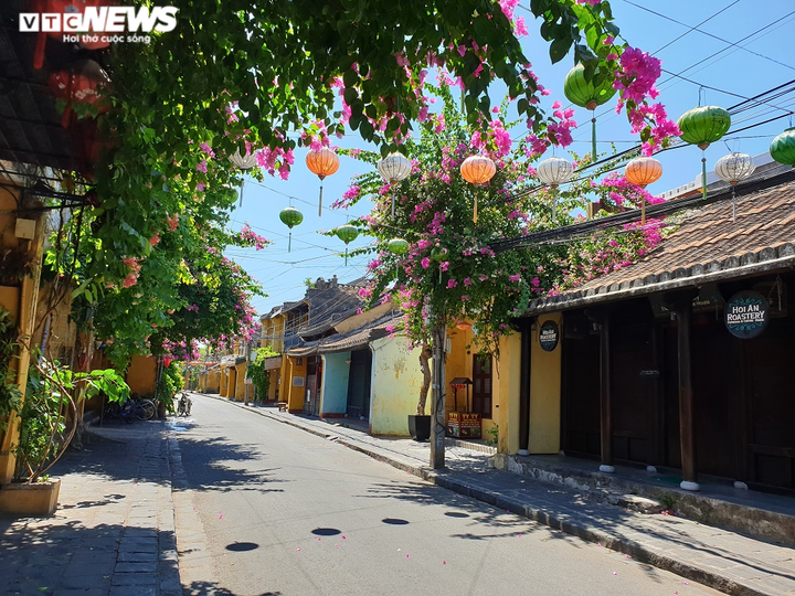 3 ca mới mắc COVID-19 ở Quảng Nam: Nhiều lần đến bệnh viện, phụ bán rau ở chợ - 3