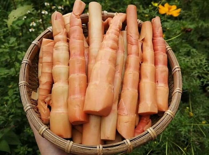 Măng đỏ độc lạ giá gần 200.000 đồng/kg hút khách - 1
