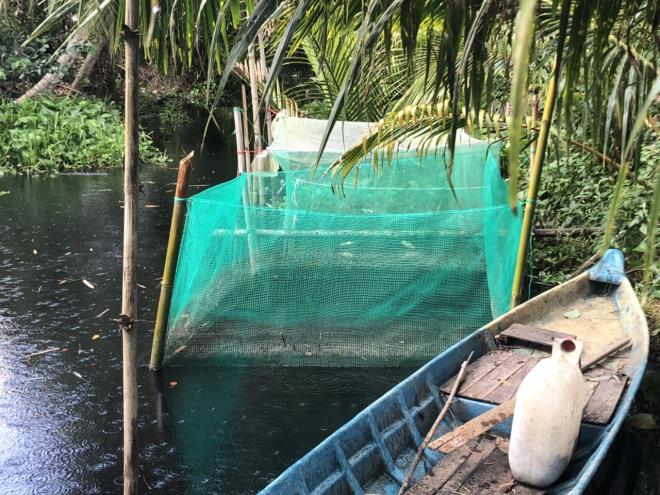 Sông Cái Lớn và kênh rạch ở Hậu Giang hôi thối, đen ngòm: Vì đâu nên nỗi? - 2