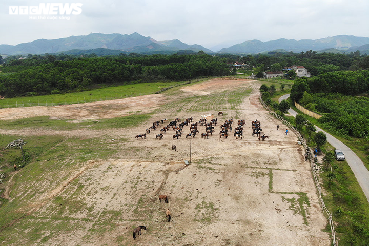 Xem cảnh sát cơ động cưỡi ngựa nhảy vượt rào, đổ rạp người nhặt đồ vật - 2
