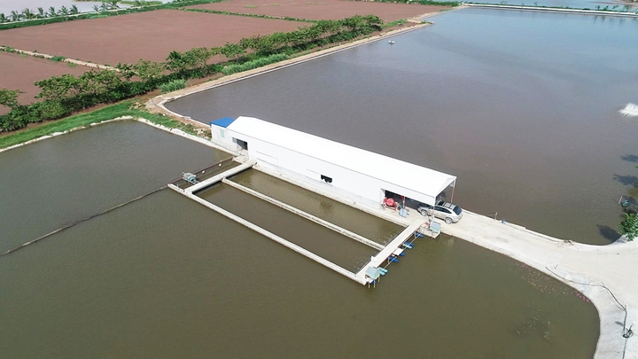 Từ chàng thanh niên say mê với nghề cá tới nghệ nhân thủy sản - 5