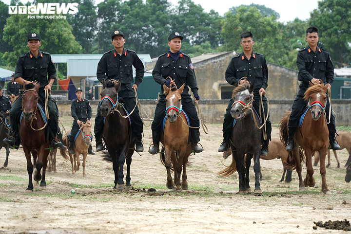 Xem cảnh sát cơ động cưỡi ngựa nhảy vượt rào, đổ rạp người nhặt đồ vật - 6