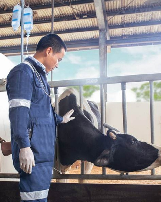 'Vén màn' bí mật quy trình sản xuất của loại sữa tươi an toàn hơn chuẩn 11 lần - 2