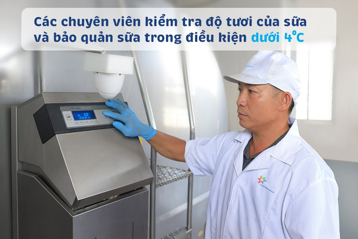 'Vén màn' bí mật quy trình sản xuất của loại sữa tươi an toàn hơn chuẩn 11 lần - 6