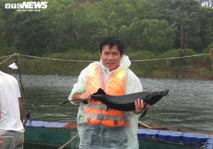 Nuôi cá 'ngàn đô' trên ốc đảo Tây Nguyên - 3