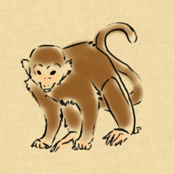 Tử vi 12 con giáp ngày 21/8: Tuổi Sửu khởi sắc cả tình lẫn tiền - 2