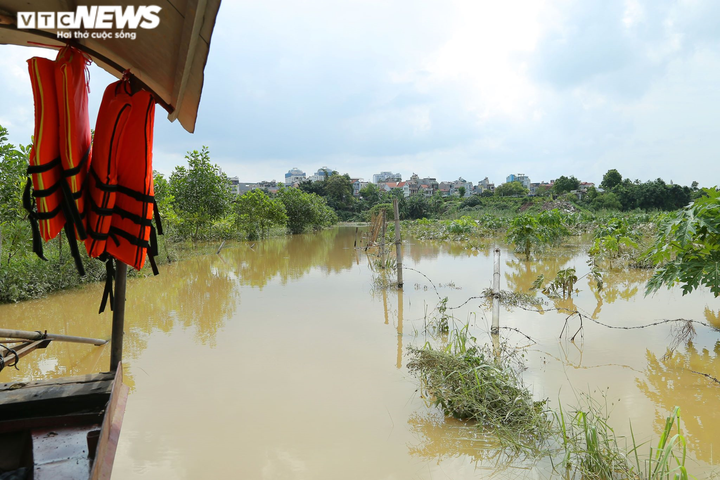 Ảnh: Nước sông Hồng dâng cao, người lái đò chở khách ở Hà Nội kiếm bộn tiền - 7