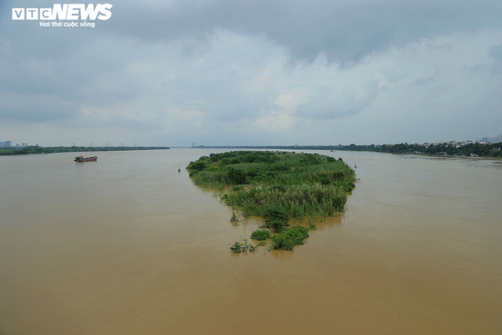 Ảnh: Nước sông Hồng dâng cao, người lái đò chở khách ở Hà Nội kiếm bộn tiền - 1