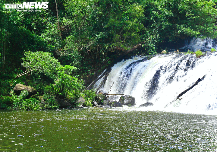 Ngắm vẻ đẹp của 'nàng tiên nữ' Kon Bông giữa núi rừng Tây Nguyên - 5