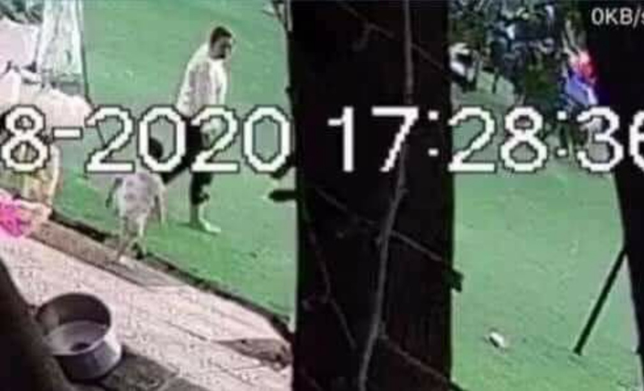 Công an công bố đặc điểm nhận dạng người phụ nữ nghi bắt cóc bé trai ở Bắc Ninh - 1