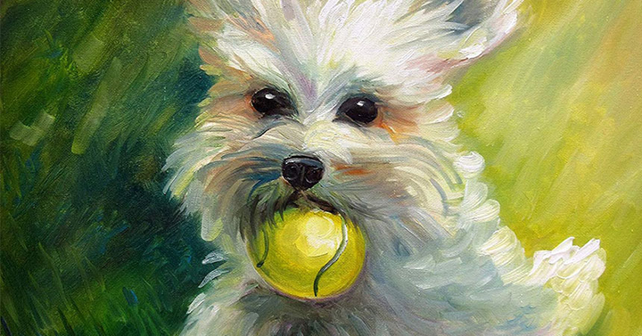 Tử vi 12 con giáp ngày 24/8: Tuổi Tuất tình duyên không như ý - 2