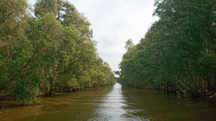 Đồng Tháp – vùng đất với những điều duy nhất - 15