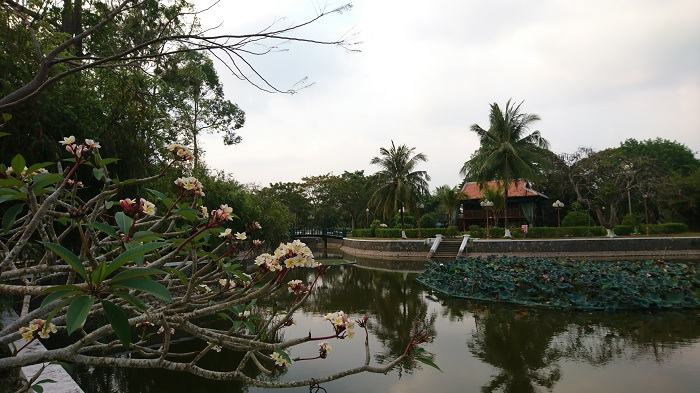 Đồng Tháp – vùng đất với những điều duy nhất - 12