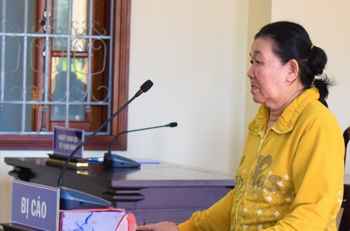 Lừa đảo hơn 1,1 tỷ đồng, chủ hụi ở miền Tây lãnh án 12 năm tù - 1