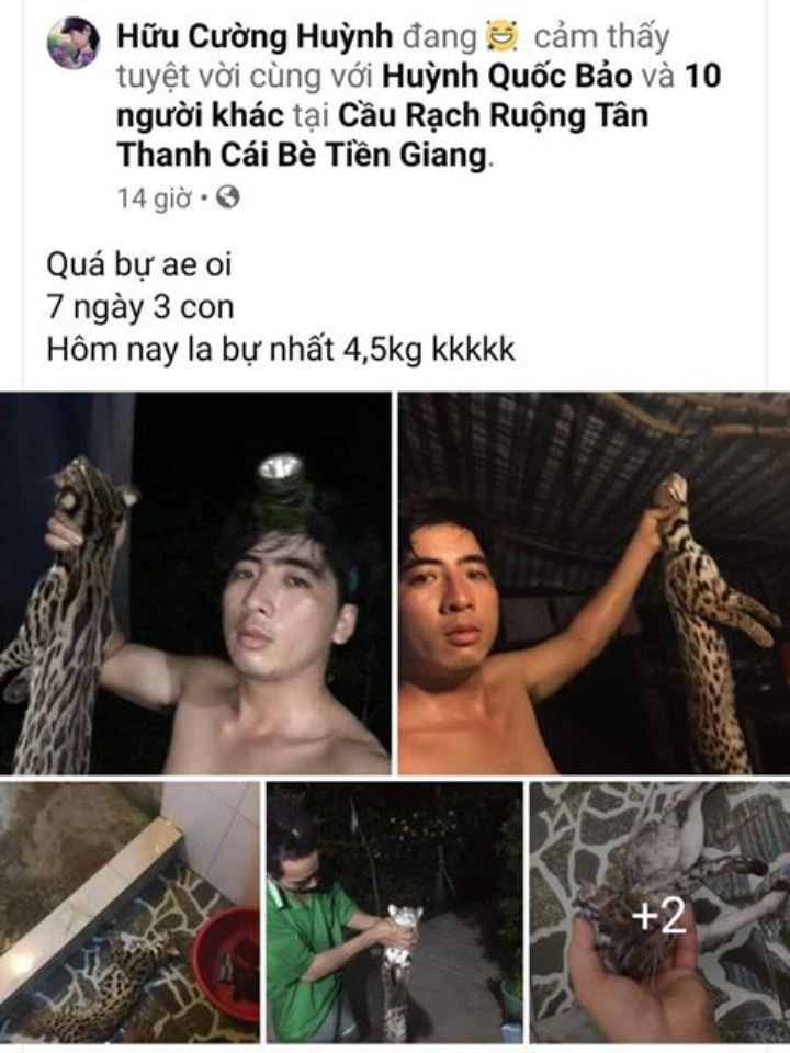 Đề nghị xử lý dân quân xã giết mèo rừng quý hiếm rồi đăng lên Facebook - 1