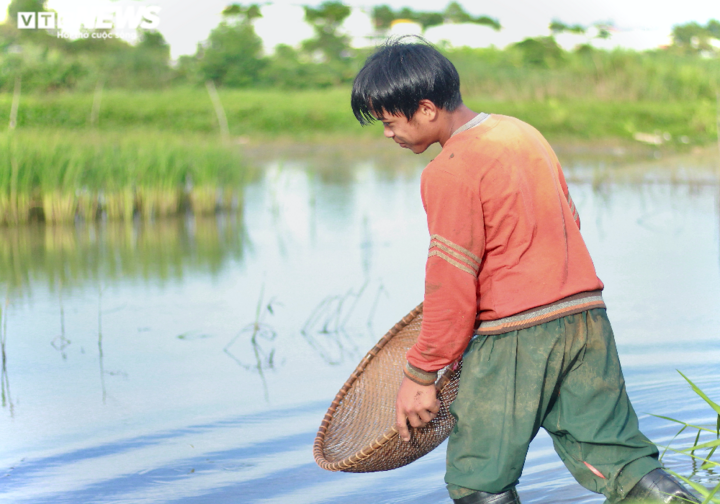 Ảnh: Mùa hè thay mẹ bắt cá, bán rau, chăm em của trẻ nghèo vùng cao - 3
