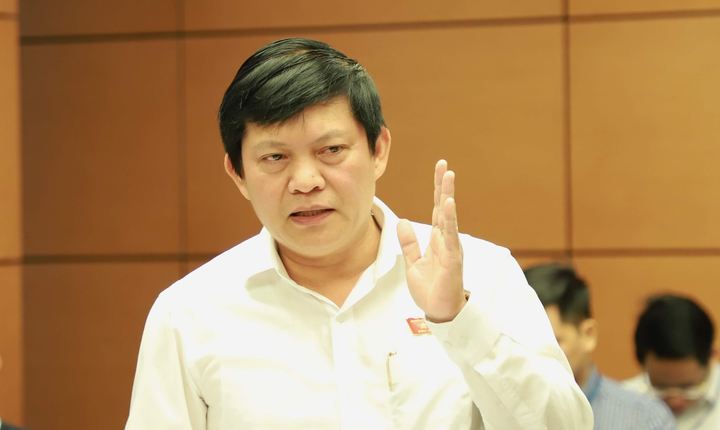 'ĐBQH mà quốc tịch nước ngoài thì lấy gì để đảm bảo lợi ích quốc gia, dân tộc' - 2