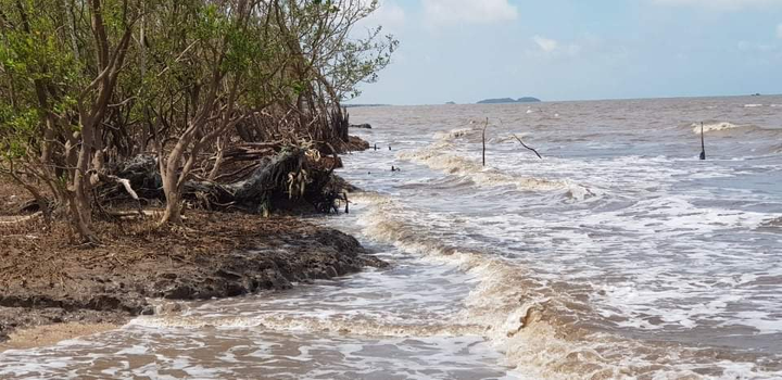 Sạt lở 3,3km đê biển, Cà Mau ban bố tình trạng khẩn cấp - 1