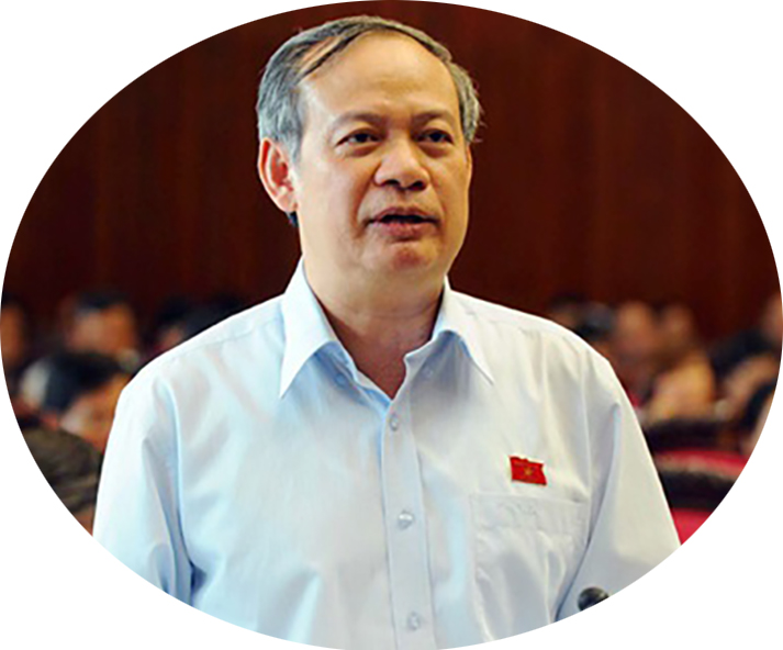 'ĐBQH mà quốc tịch nước ngoài thì lấy gì để đảm bảo lợi ích quốc gia, dân tộc' - 3