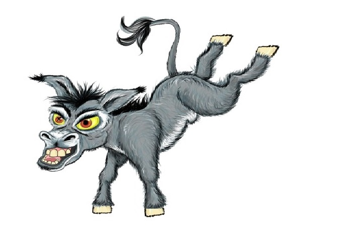 Vì sao ông nào cũng đòi mua lừa? - 1