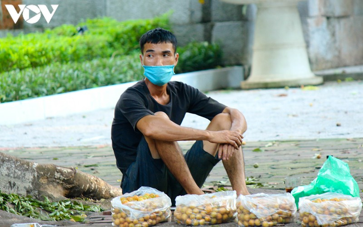 Ảnh: Những món quà thu Hà Nội khiến lòng người rưng rưng - 8