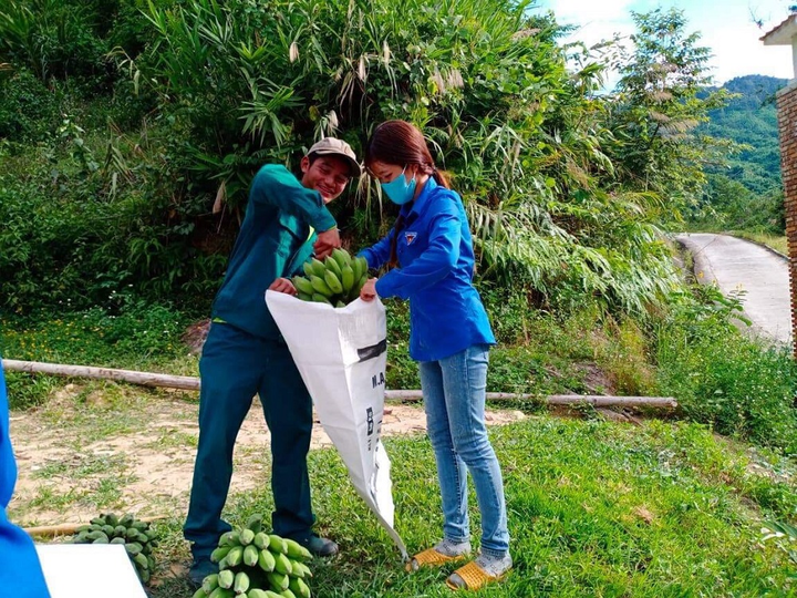 Đồng bào Ca Dong vào rừng sâu hái từng búp măng, bó rau gửi xuống vùng tâm dịch - 3