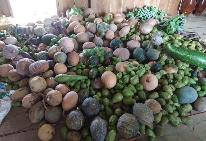 Đồng bào Ca Dong vào rừng sâu hái từng búp măng, bó rau gửi xuống vùng tâm dịch - 2